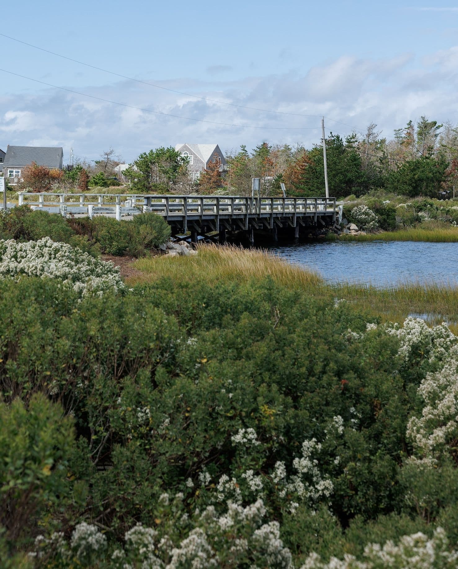 Bridge in Madaket surrounded by green shrubbery and white flowers over blue water. 